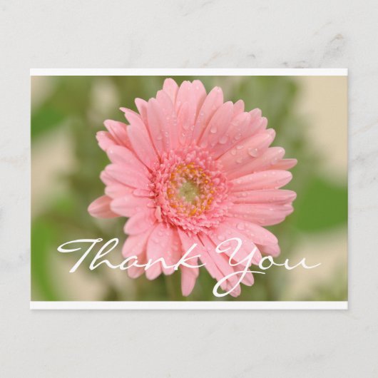 Floral Vielen Dank Pink Gerbera Daisy Blume Postkarte (Vorderseite)
