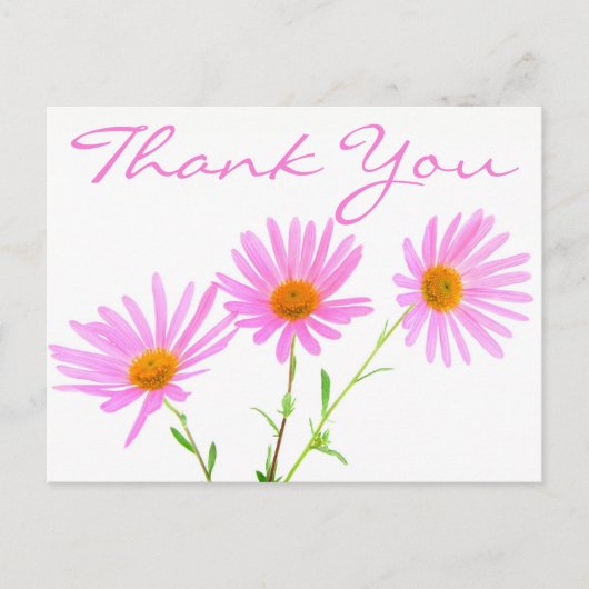 Floral Vielen Dank Pink Lavender Daisy Blume Postkarte (Vorderseite)