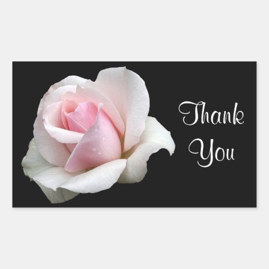 Floral Vielen Dank Pink Rose Blume Schwarze Rose Rechteckiger Aufkleber (Vorderseite)