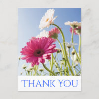 Floral Vielen Dank Pink & White Gerbera Daisy Blum