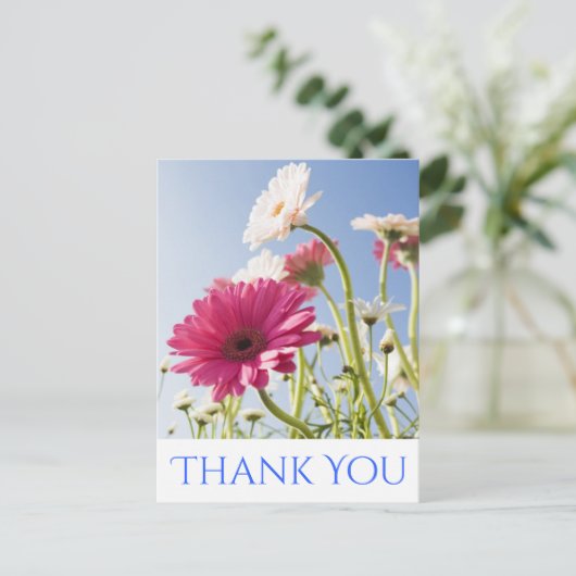 Floral Vielen Dank Pink & White Gerbera Daisy Blum Postkarte (Stehend Vorderseite)