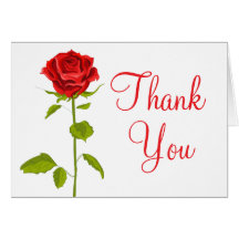 Floral Vielen Dank Rote Rose Blume Rose Hochzeit