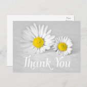 Floral Vielen Dank White Daisies White Blume Gray Postkarte (Vorne/Hinten)