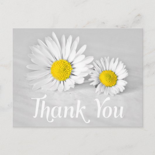 Floral Vielen Dank White Daisies White Blume Gray Postkarte (Vorderseite)
