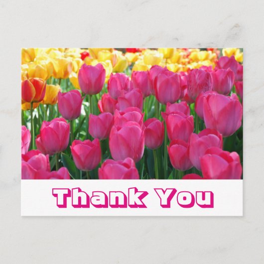 Floral Vielen Dank Yellow & Pink Tulip Blume Postkarte (Vorderseite)