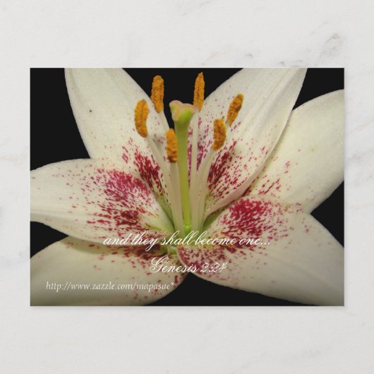 Floral Wedding Einladung Weiße Lilie (Rückseite)