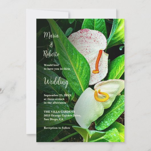 Floral White Cala Lilies Mexican Wedding Einladung (Vorderseite)