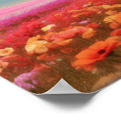 Floral White Labrador zum Herunterladen Poster (Ecke)