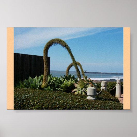 Floral Wonders Poster (Vorne)