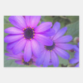 Floral Wrapping Paper Geschenkpapier Set (Vorderseite 3)