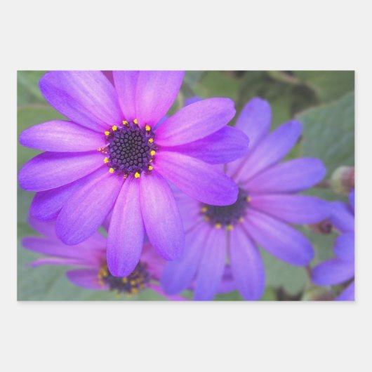 Floral Wrapping Paper Geschenkpapier Set (Vorderseite 3)