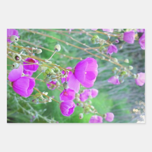 Floral Wrapping Paper Geschenkpapier Set (Vorderseite)