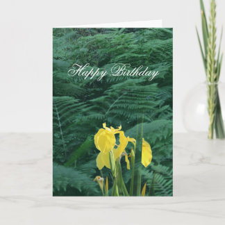 Floral Yellow Iris and Fern "Happy Birthday" Karte