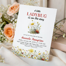 Florale Daisy Eine kleine Marienkäfer-Baby-Party