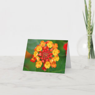florale Feuerwerkskarte Karte