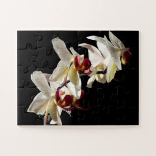 Florale Highlights Weiße Phalaenopsis Orchideen Puzzle