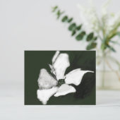 FLORALE KUNSTKARTE POSTKARTE (Stehend Vorderseite)