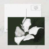 FLORALE KUNSTKARTE POSTKARTE (Vorne/Hinten)