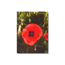 Florale Mohn-Träumerin – Botanische Fantasy-Kunst 