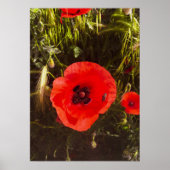 Florale Mohn-Träumerin – Botanische Fantasy-Kunst Poster (Vorne)