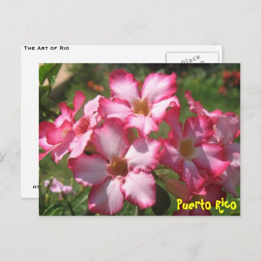 Florale Postkarte 2 (Vorne/Hinten)