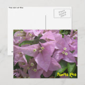Florale Postkarte 3 (Vorne/Hinten)