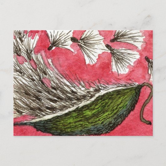 Florale Postkarte "Milkweed Pod" (Vorderseite)