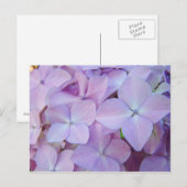 Florale Postkarten Lavender Lila Hydrangea Blume (Vorne/Hinten)