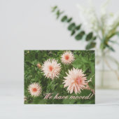 Florale Postkarten mit Chrysanthemum-Blume (Stehend Vorderseite)