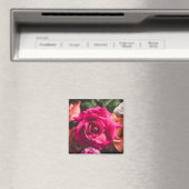 Florale rosa Rosenblüten Magnet (In Situ (Geschirrspüler))