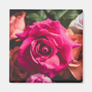 Florale rosa Rosenblüten Magnet