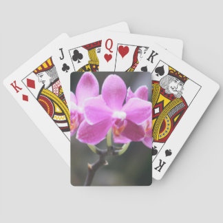 Florale Sammlung Spielkarten