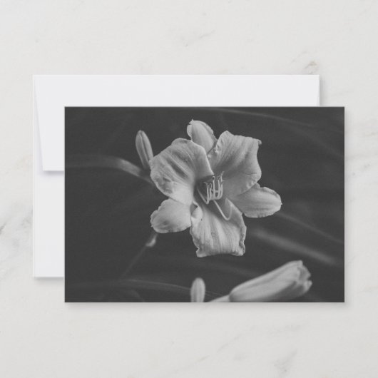 Florales Noir Save The Date (Vorderseite)