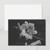 Florales Noir Save The Date (Vorne/Hinten)