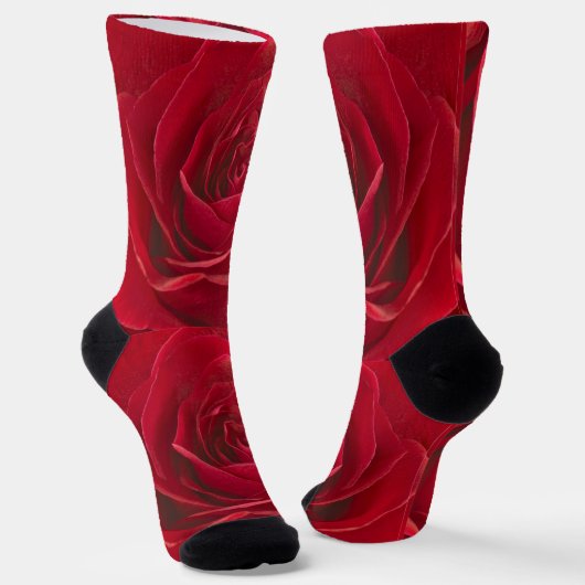 Floralfotografie: Fett Rot/Weiß Rose Center Socken (Gewinkelt)