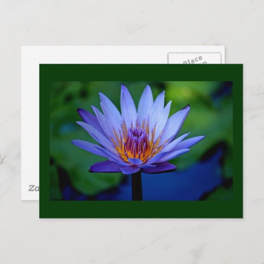 FLORALGRAD POSTKARTE (Vorne/Hinten)