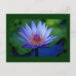 FLORALGRAD POSTKARTE