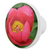FLORALLE/ROSE-FARBFARBEN KERAMIKKNAUF (Rechts)