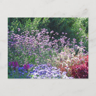 Florals auf der Postkarte des Englischen Gartens