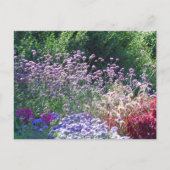 Florals auf der Postkarte des Englischen Gartens (Vorderseite)