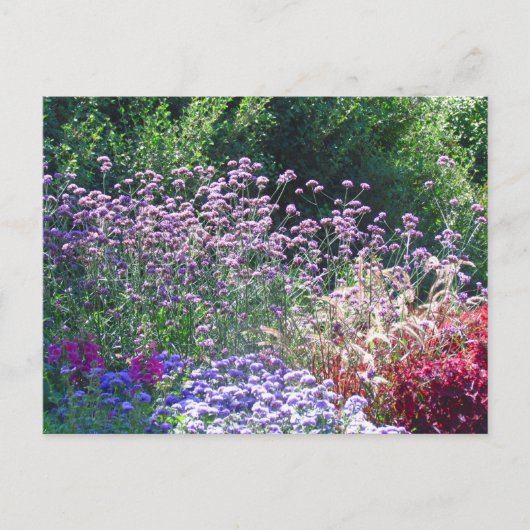 Florals auf der Postkarte des Englischen Gartens (Vorderseite)
