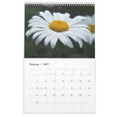 Florals Kalender (Feb 2027)