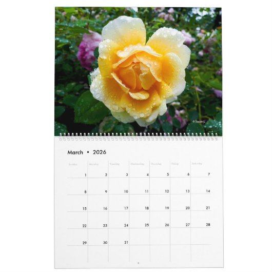 Florals von MultiMediaSusan 2025 Calendar Kalender (Mär 2026)