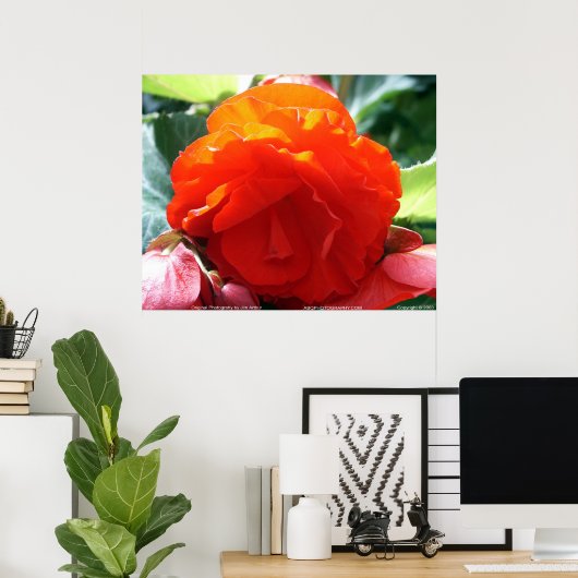 Floralscape/JDA030408107 Poster (Heimbüro)