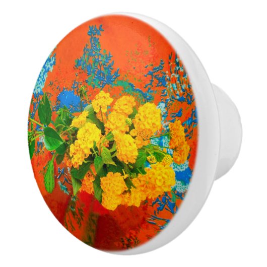 FLORALSCHÖNHEIT STARKE POWER FARBEN KERAMIKKNAUF (Rechts)