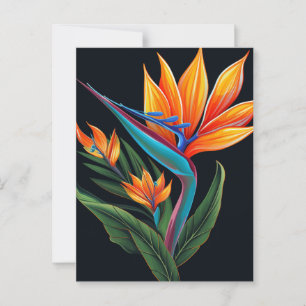 FLORARAL ART # 11 Geschenkboxen Postkarte