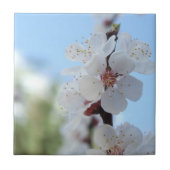 Floreal Keramik Tile Fliese (Vorderseite)