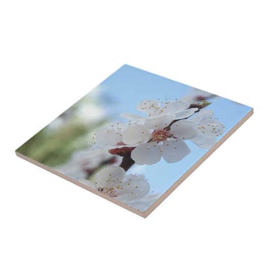 Floreal Keramik Tile Fliese (Seite)