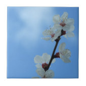 Floreal Keramik Tile Fliese (Vorderseite)