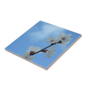 Floreal Keramik Tile Fliese (Seite)